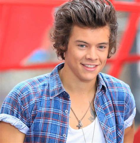 Harry Styles cumple 22 años en el top de la popularidad Fotos