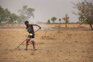 The Effects of Desertification in Africa - The Borgen Project