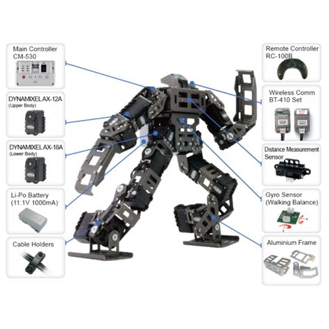 Kit Robot Construction Programmation Jouet Ducatif Humano D Gp Robotis