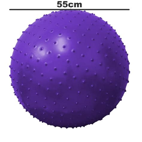 Purple Bouncy Ball