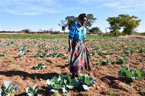 Empower Women To Lead In Farming City Press