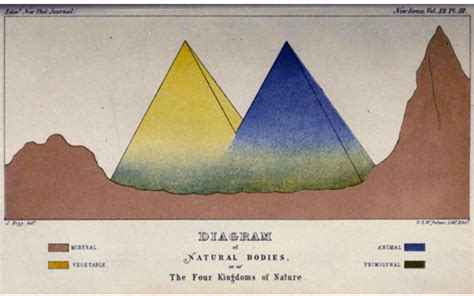 Small Things Considered: Pictures Considered #50 : The Four Kingdoms of Nature