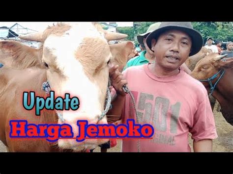 Riview Pasar Sapi Warujayeng Update Terbaru Harga Jemoko Bakalan Jantan