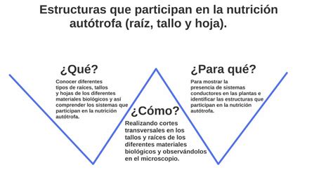 Cuaderno de paqui Biología 3 w de gowin de la practica numero 1