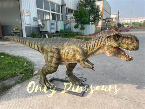 T-Rex Realistic Animatronic Dinosaur Model