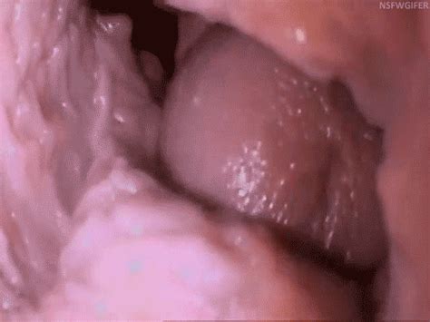 Animated Cum Inside Pussy Internal