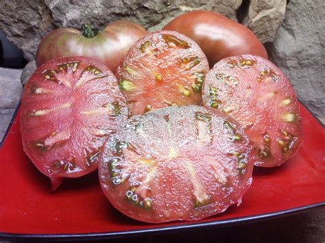 Frankenstein Black Tomato The Best Black Organic Heirloom Tomatoes