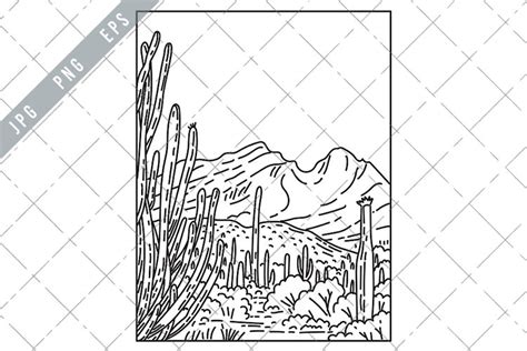 Sonoran Desert Coloring Page