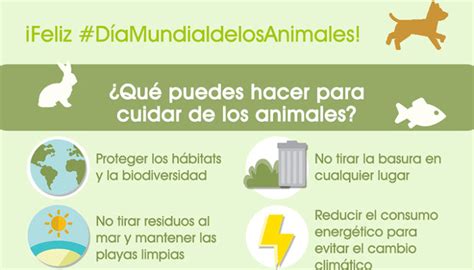 Que Podemos Hacer Para Evitar La Extincion De Los Animales