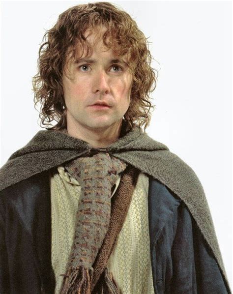 Pippin From Lotr