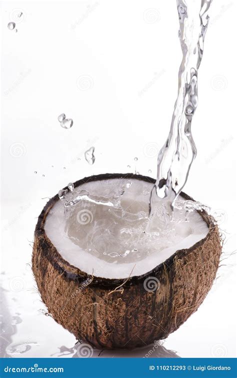 Noce Di Cocco Fresca Con Spruzzata Immagine Stock Immagine Di