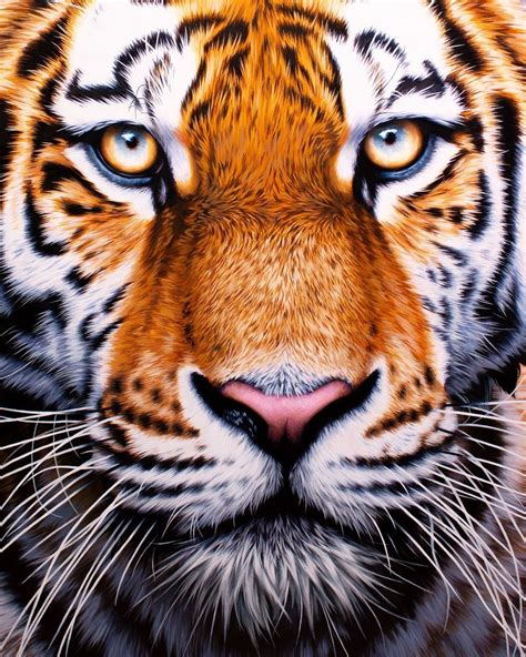 Panthera Tigris Tiger Painting Powerful Images Wildlife Artists