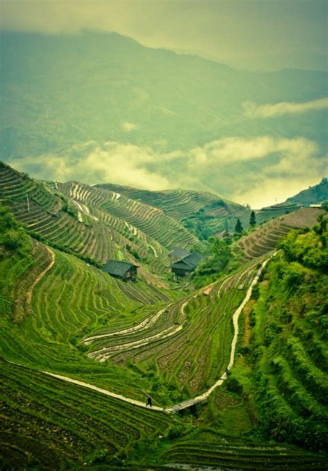 Rice terraces of Longsheng on Behance