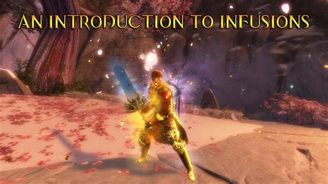 Gw2 An Introduction To Infusions Giveaway Over Youtube