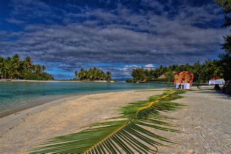 Tree Islands Beach Ocean Sand Exotic Leaf Tahiti Polynesia