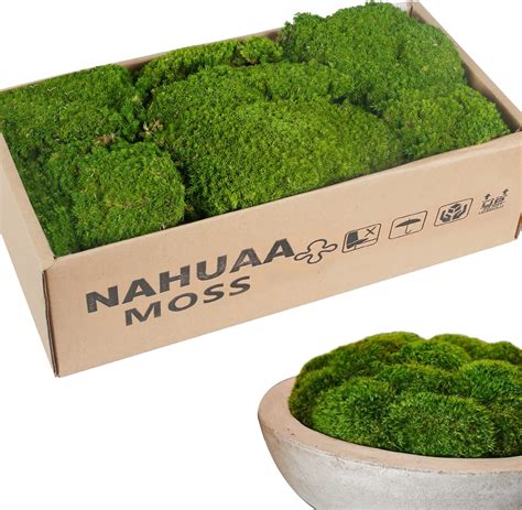 Amazon Nahuaa Sq Ft Preserved Moss Moss For Potted Plants