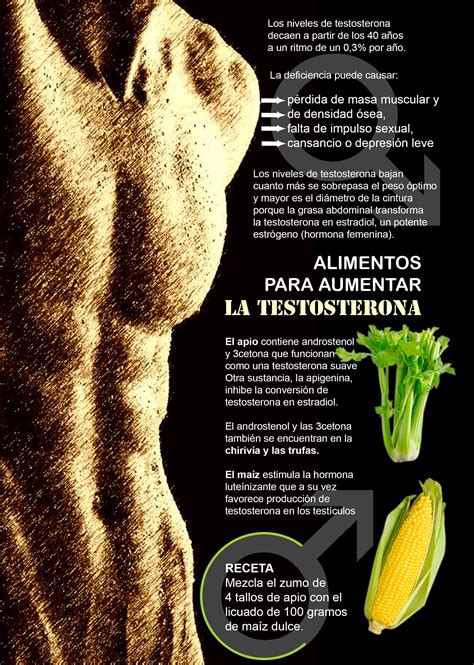 Alimentos Para Aumentar La Testosterona Masa Muscular Consejos Para