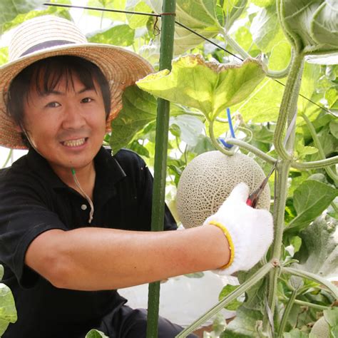 システム・料金 茨城県鉾田市のメロン狩り・通販・イバラキング｜深作農園