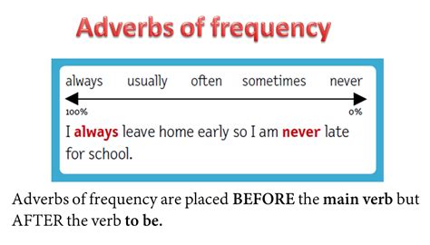 Frequency Adverbs And Expressions