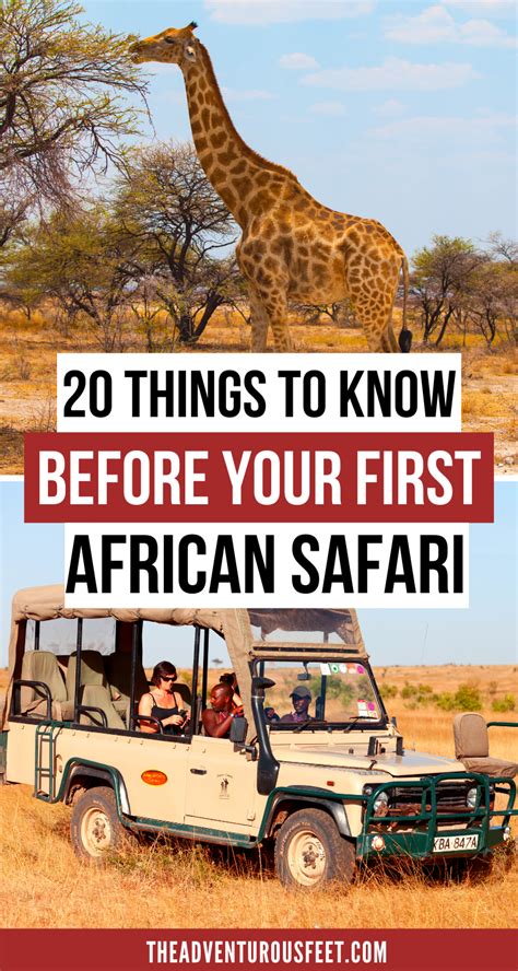 African Safari Tips 20 Things To Know Before Going On Your First