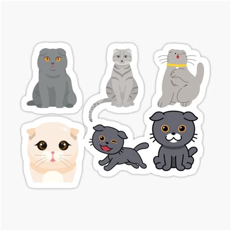 "Scottish Fold cats - The funny Cat Scottish fold cats" Sticker for ...