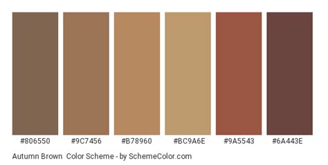 Autumn Brown Color Scheme » Brown » SchemeColor.com