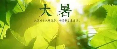 生活 今日大暑！一年中最热的时候来了 伏茶 北京 习俗