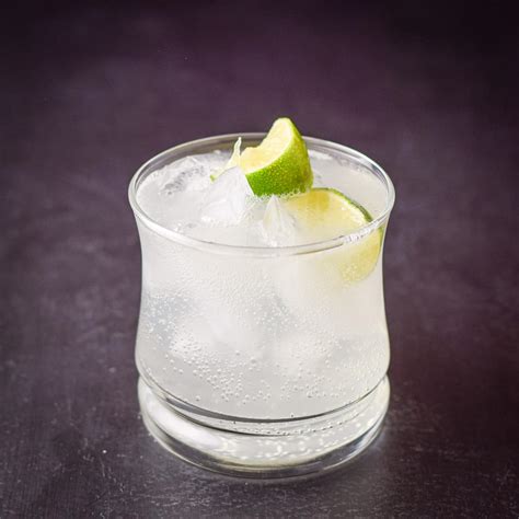 Gin and Tonic Cocktail - My Brother Bob's Basic Recipe - Dishes Delish