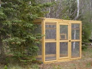 Building An Outdoor Release Cage Baby Squirrel Squirrel Cage Squirrel