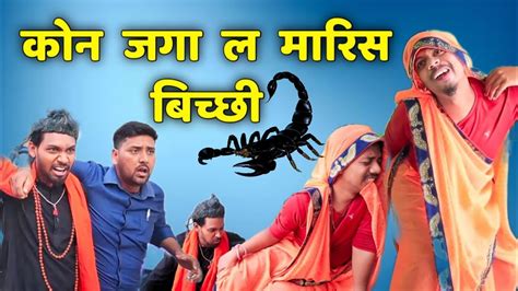 कोन जगह ल मारिस बिच्छी ‼️kon Jaga La Maris Bichhi ‼️ Cg Comedy Video By