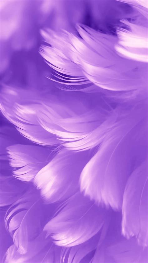 Download Picture A Unique Texture Of Purple Feathers Wallpaper