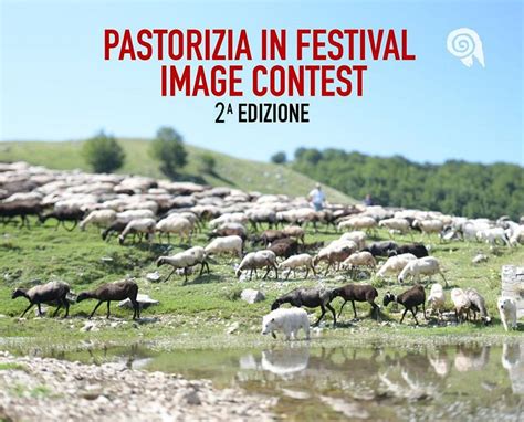 Pastorizia In Festival Image Contest Benvenuti In Ciociaria In