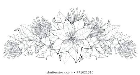 Poinsettia Drawing Outline at PaintingValley.com | Explore collection ...