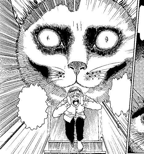 Junji Itos Cat Diary Yon Mu Manga Animals Living Lifestyle Dog Bird Beast