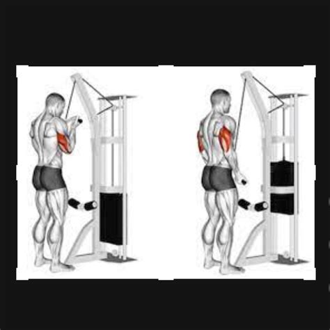 Cable Crossover Tricep Extension By Elliott Konieczka Exercise How To