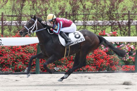 【2歳新馬／京都5r】ダノンレジェンド産駒のハッピーマンが上がり最速の末脚で快勝 坂井「結果も内容も良かった」東スポ競馬 Goo ニュース