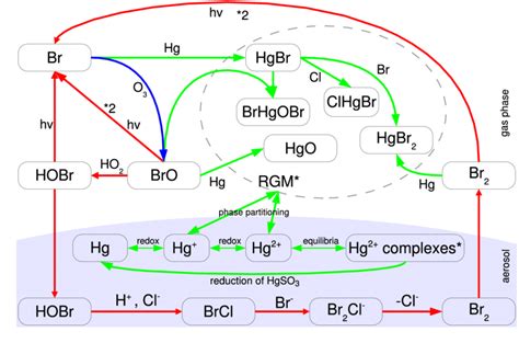 Simplified Halogen And Mercury Chemistry Bromine Chemistry Is Shown