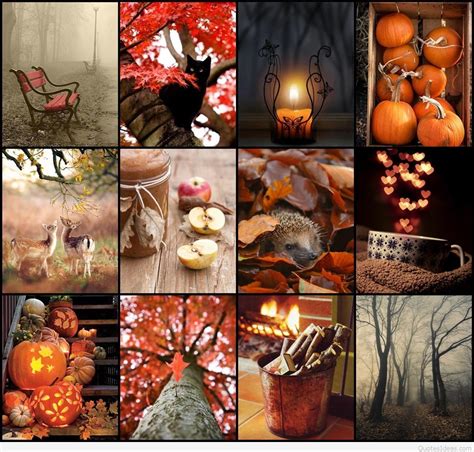 Fall Collage Wallpapers - Top Free Fall Collage Backgrounds ...