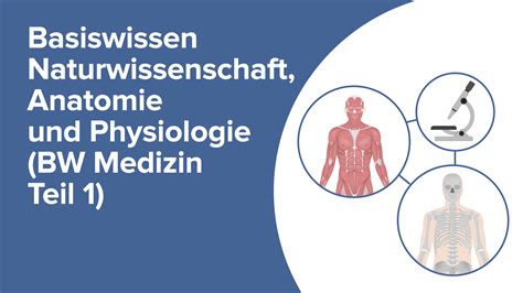 Harntrakt Anatomie Einleitung Online Medizin Kurs Lecturio