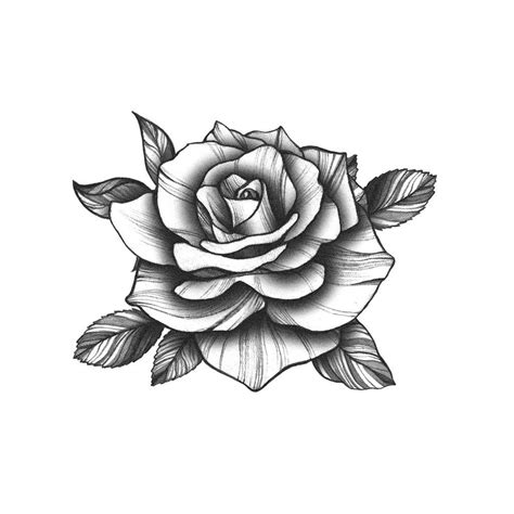 Rose Tattoo Black, White Rose Tattoos, Rose Flower Tattoos, Rose ...