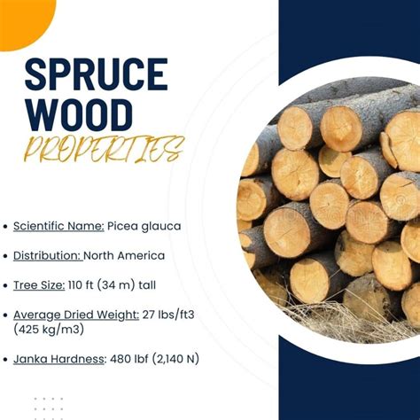 A Detailed Guide To Spruce Wood Properties Types And Uses