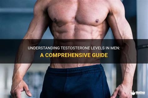 Understanding Testosterone Levels In Men A Comprehensive Guide Medshun