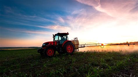 Agro Exportadora - El potencial de la industria agroexportadora peruana | Conexión ESAN