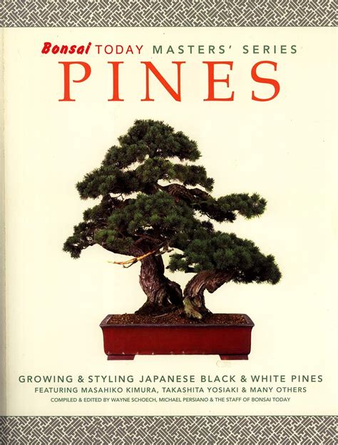 Bonsai Today Masters Series Pines Growing Styling Japanese Black