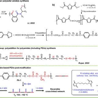 Scheme 1 A Ring Opening Polymerization For PEAs Synthesis B