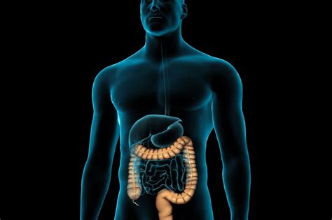 Understanding Gastrointestinal Endoscopy Regency Healthcare