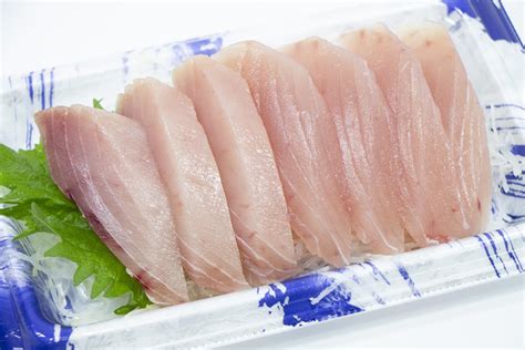 ビンチョウマグロとは？美味しいレシピ・栄養素・釣り方ジギングを解説！ 釣りラボマガジン