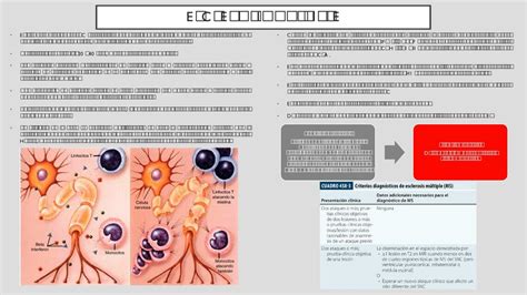 Enfermedades Desmielinizantes Estudimed Udocz