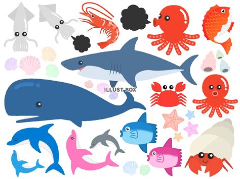 無料イラスト 海の生き物イラストセット