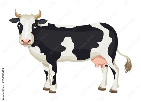 Vector Cartoon Black And White Cow Isolated On White Background Dairy